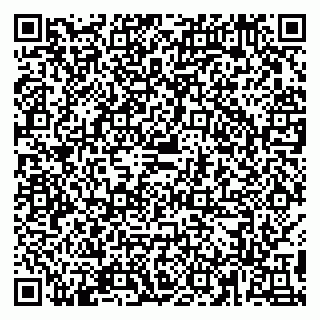 vCard 79890013039
