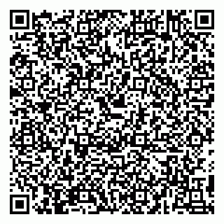 vCard 79890040313