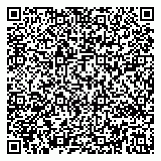 vCard 79893002001