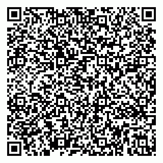 vCard 79893003131