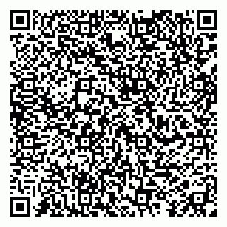 vCard 79893003133