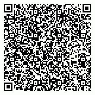 vCard 79893003141