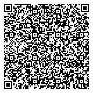 vCard 79893003333