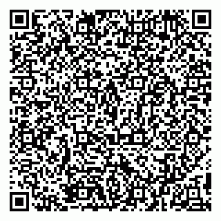 vCard 79894200409