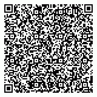 vCard 79894200411