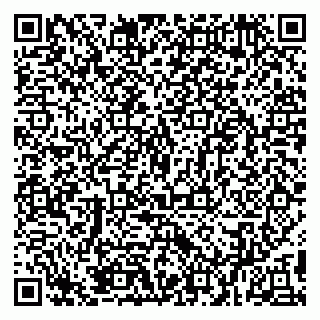 vCard 79894200419