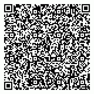 vCard 79894200431