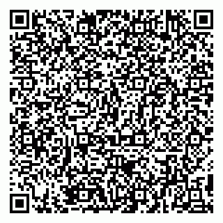 vCard 79894200513
