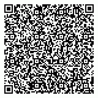 vCard 79894200527