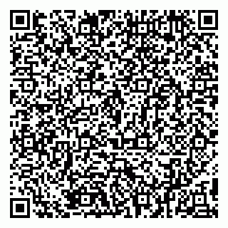 vCard 79894200529