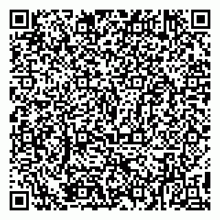 vCard 79894200533
