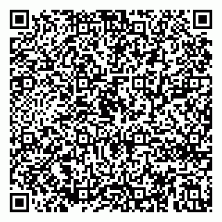 vCard 79894200635