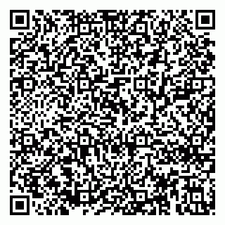 vCard 79894200653
