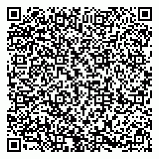 vCard 79894200701