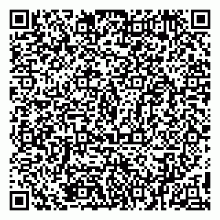vCard 79894200729