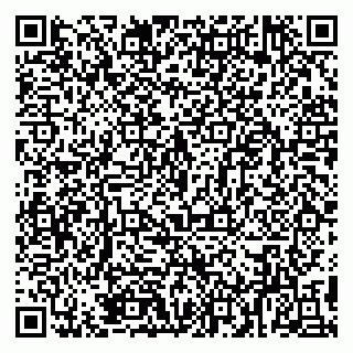 vCard 79894200733
