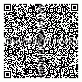 vCard 79894200735