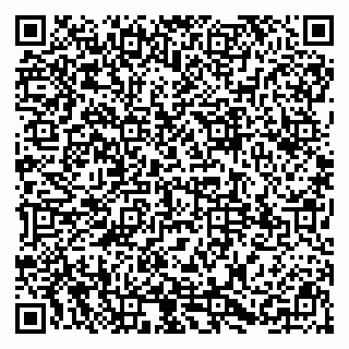 vCard 79895569298