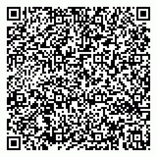 vCard 79895572539