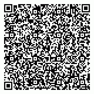 vCard 79895578203