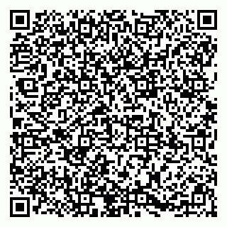 vCard 79895578371
