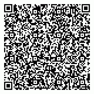 vCard 79895580330
