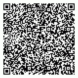 vCard 79895591739