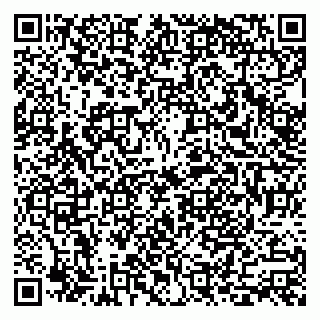 vCard 79896800295
