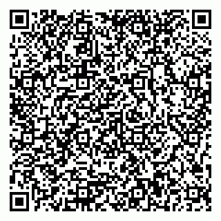 vCard 79897900173