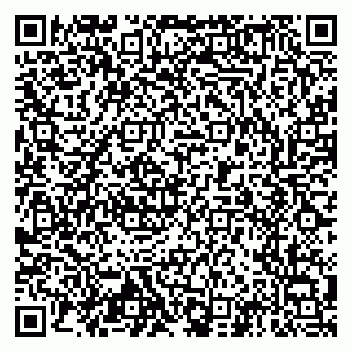 vCard 79913274873