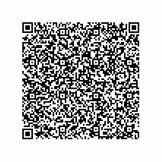 vCard 79913609000