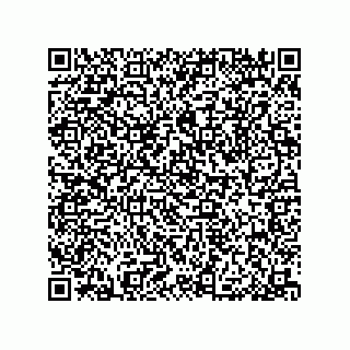 vCard 79913609011