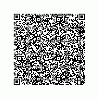 vCard 79913609331