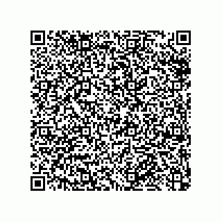 vCard 79913609333