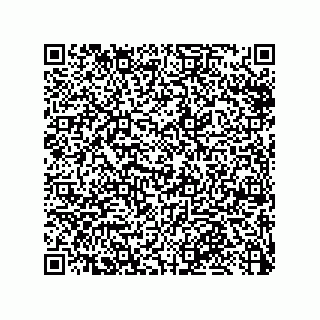 vCard 79913609334