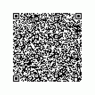 vCard 79913609381