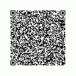 vCard 79913609382