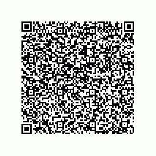 vCard 79913609387