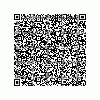 vCard 79913609393
