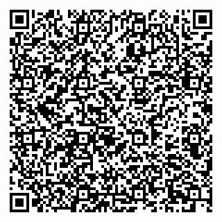 vCard 79913908311