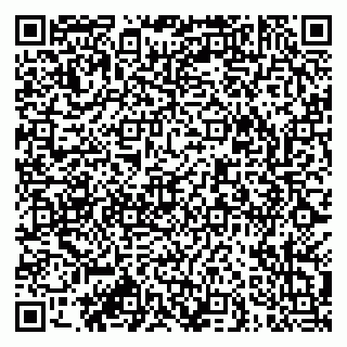 vCard 79913908321