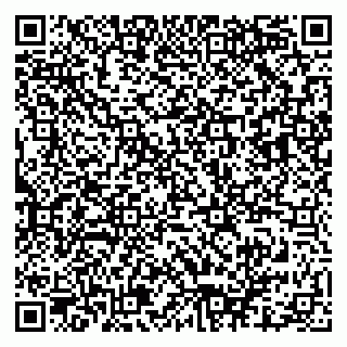 vCard 79913909696