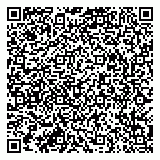 vCard 79913909698