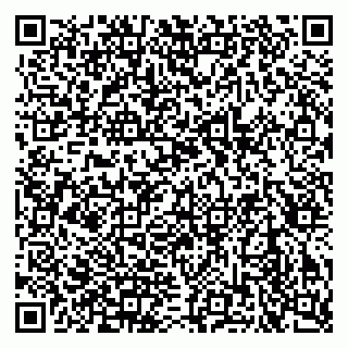 vCard 79913909705