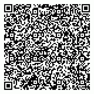 vCard 79913909780