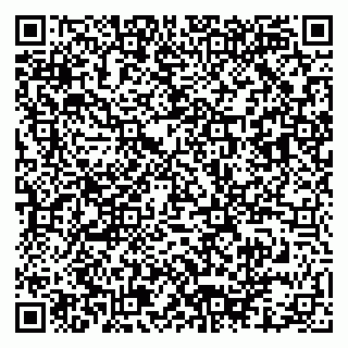 vCard 79913909803