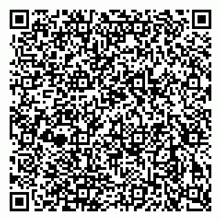 vCard 79913909833