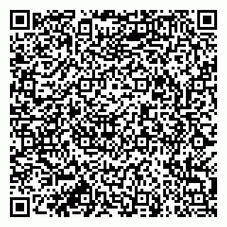 vCard 79913909871