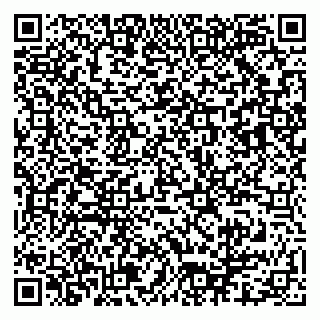 vCard 79913909874