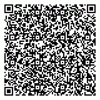 vCard 79913909875